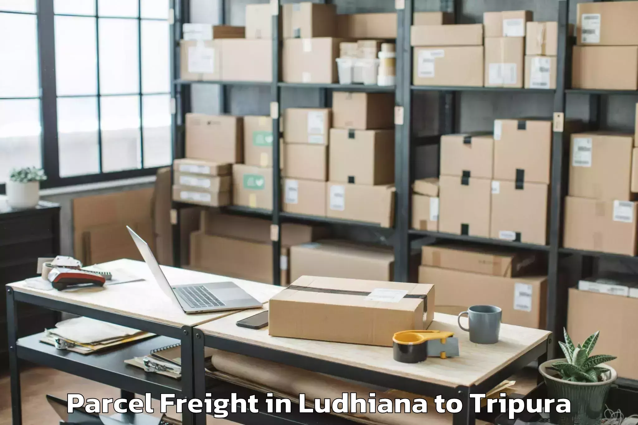 Ludhiana to Kamalpur Parcel Freight